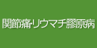 関節炎・リウマチ膠原病